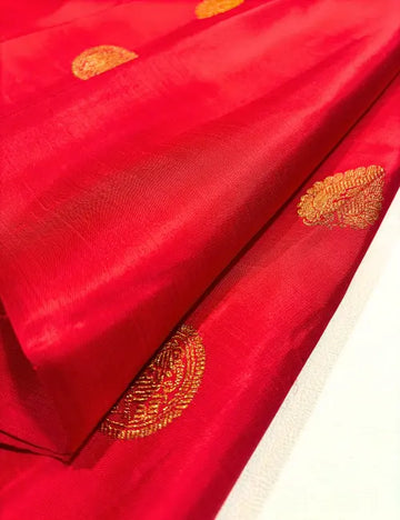 Elegant Red Borderless Kanchipuram Silk Saree with Yaali & Peacock Butta