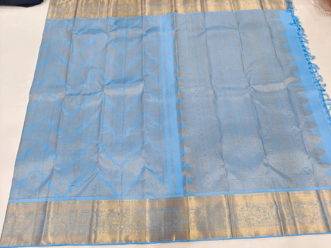 Light Blue Kanchipuram Silk Saree with Rich Gold Zari Border & Traditional Pallu